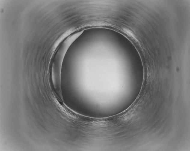 X0000059081181200510172022