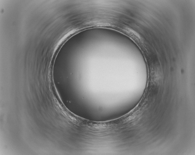 X0000059081182200510172022