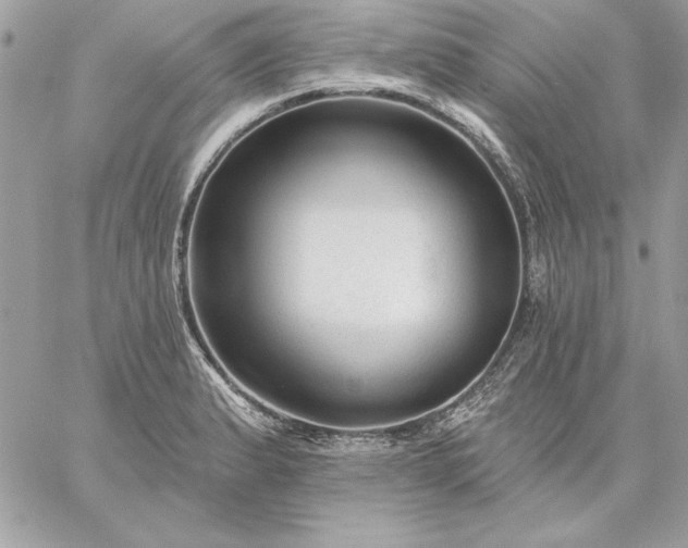 X0000059081183200510172022