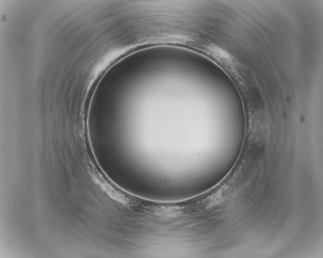 X0000059081184200510172022