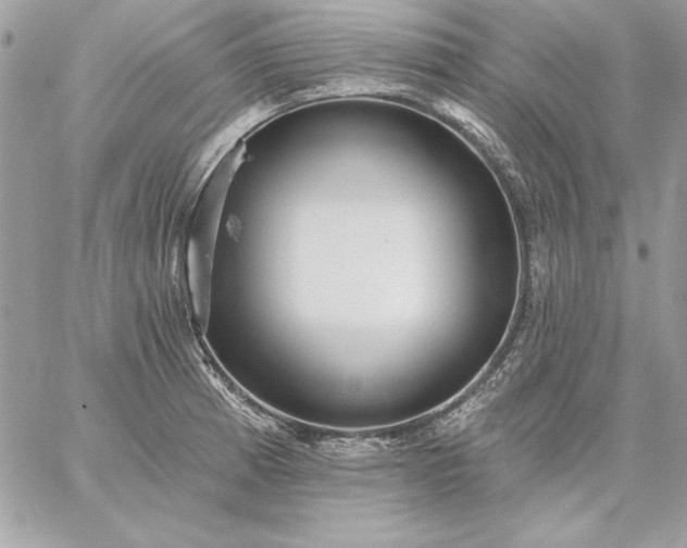 X0000059081185200510172022