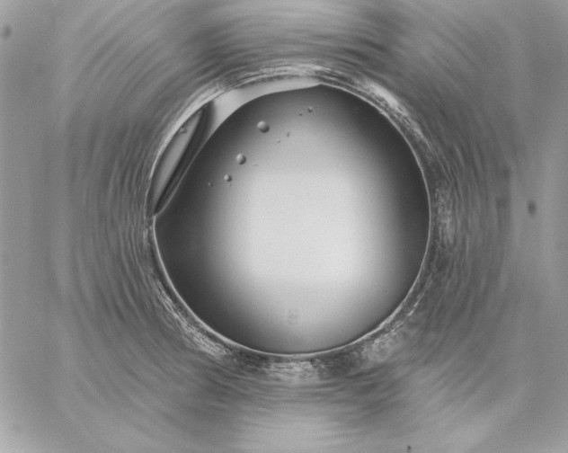 X0000059081186200510172022