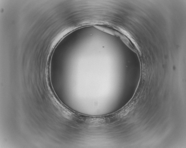 X0000059081187200510172022