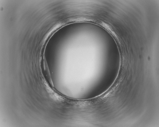 X0000059081189200510172022