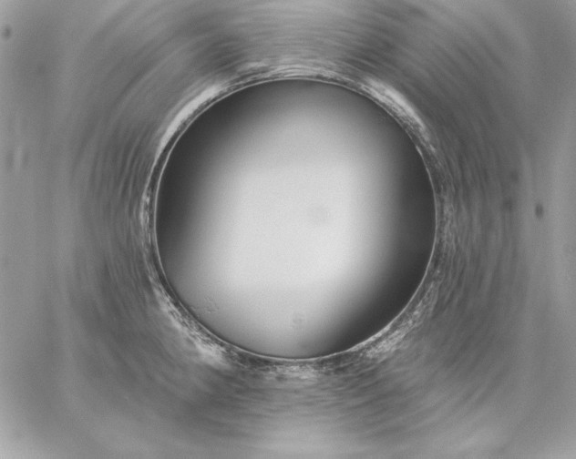 X0000059081190200510172022