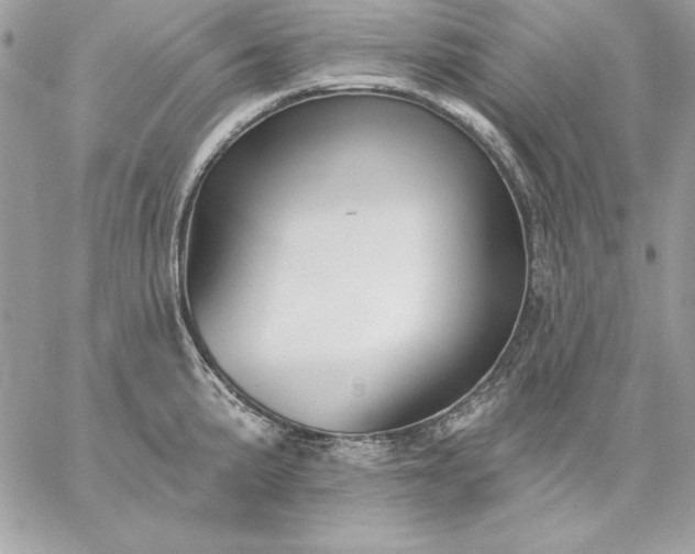 X0000059081191200510172022