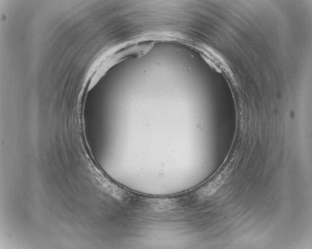 X0000059081192200510172022