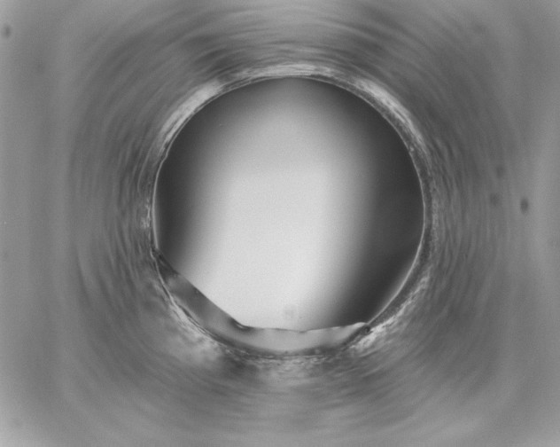 X0000059081193200510172022