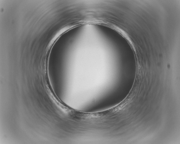 X0000059081195200510172022