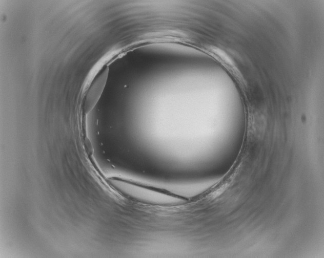 X0000059081196200510172022