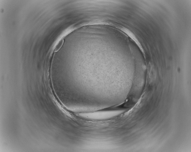 X0000059081197200510172022