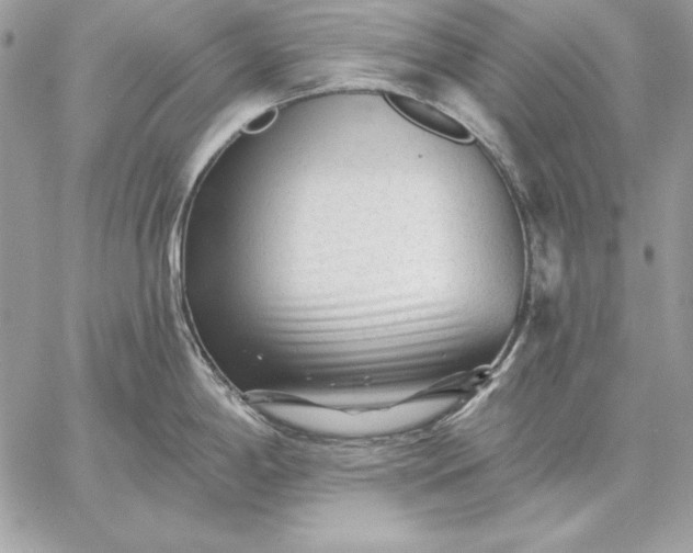 X0000059081198200510172022