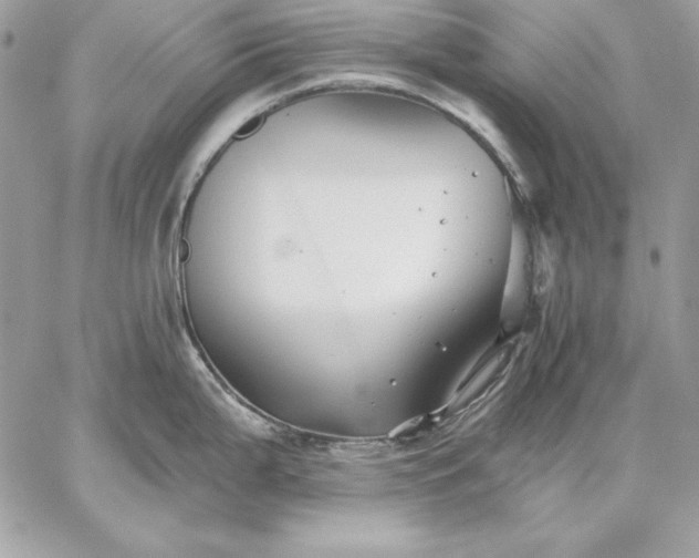 X0000059081199200510172022