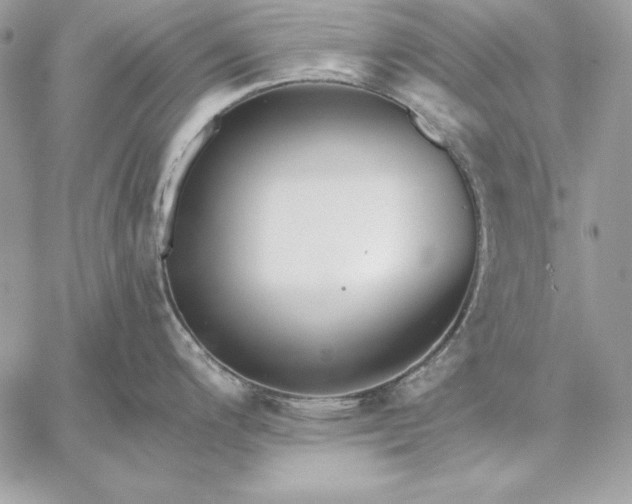 X0000059081200200510172021