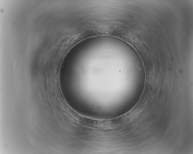 X0000059081201200510172021