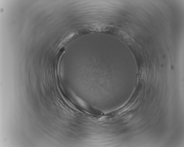 X0000059081202200510172021