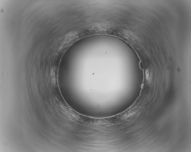 X0000059081203200510172021