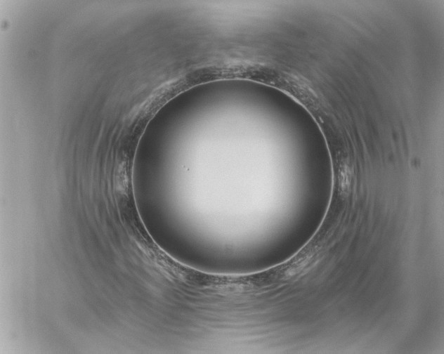 X0000059081204200510172021