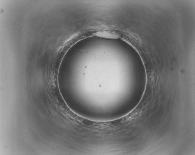 X0000059081205200510172021