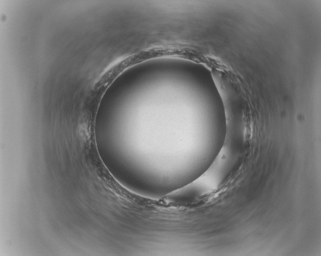 X0000059081206200510172021