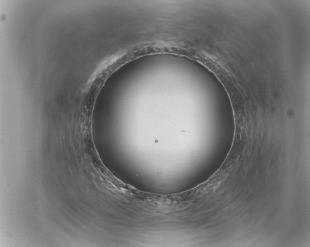 X0000059081207200510172021