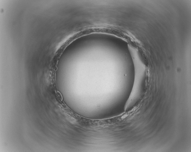 X0000059081208200510172021