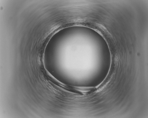 X0000059081209200510172021