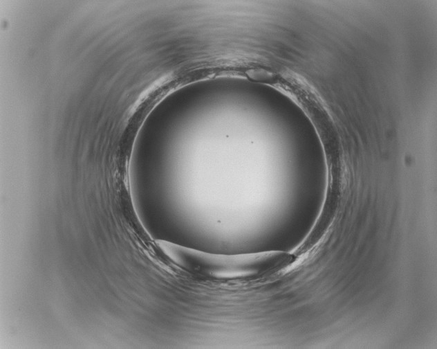 X0000059081210200510172021