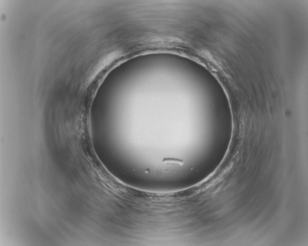 X0000059081211200510172021