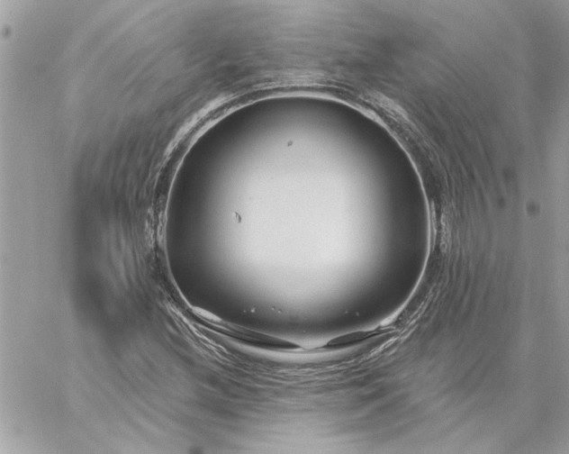 X0000059081212200510172021