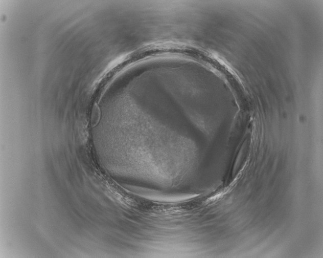 X0000059081213200510172021