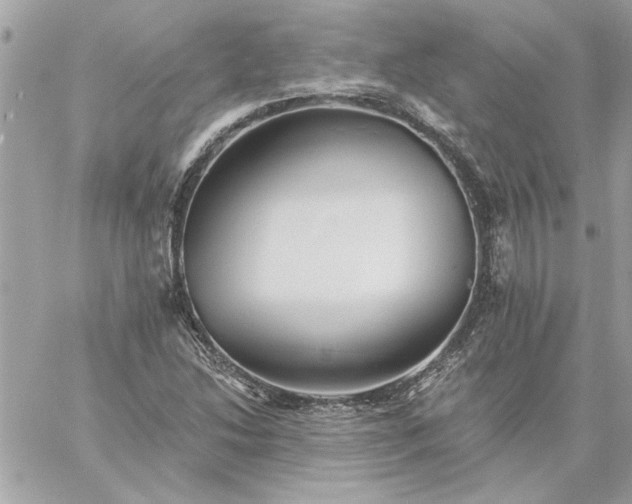 X0000059081214200510172021