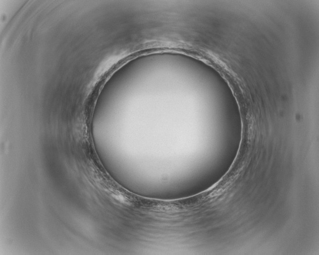 X0000059081215200510172021