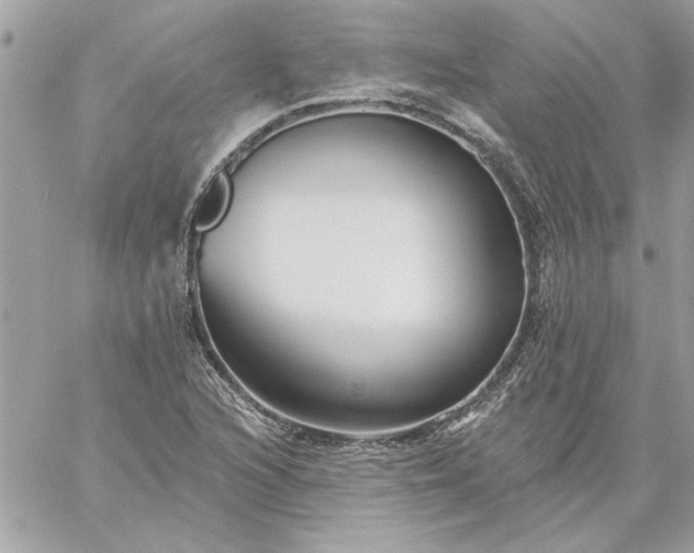 X0000059081216200510172021