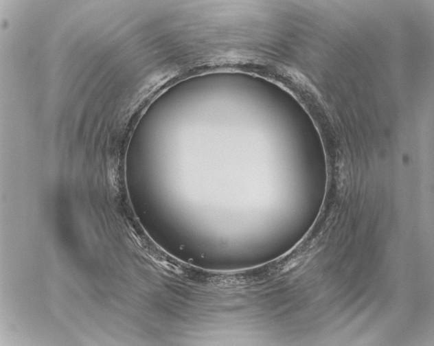 X0000059081217200510172021