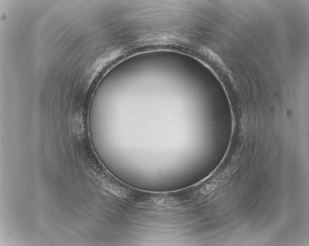 X0000059081218200510172021