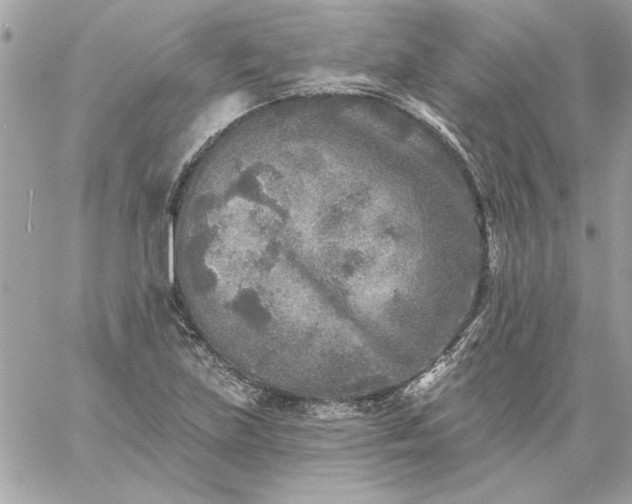 X0000059081219200510172021