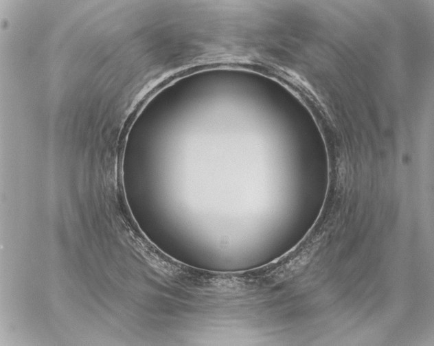 X0000059081220200510172021