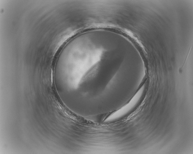 X0000059081221200510172021