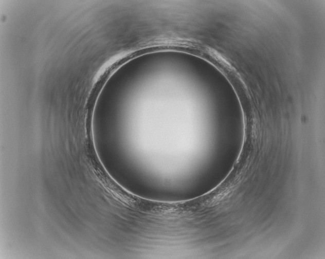 X0000059081222200510172021