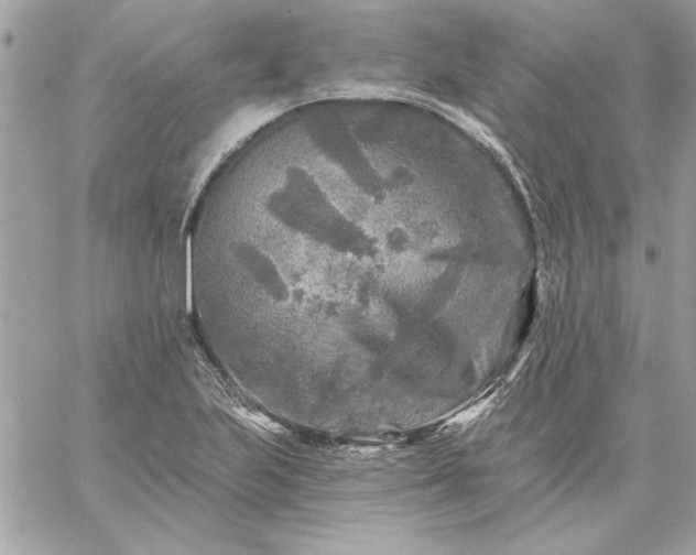 X0000059081223200510172021