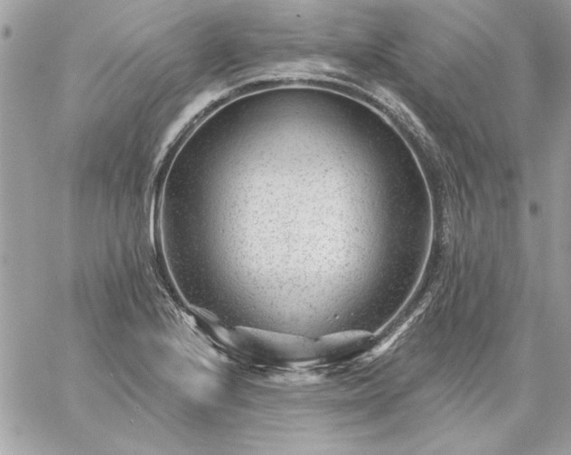 X0000059081224200510172021