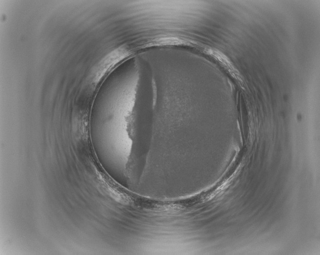 X0000059081225200510172021