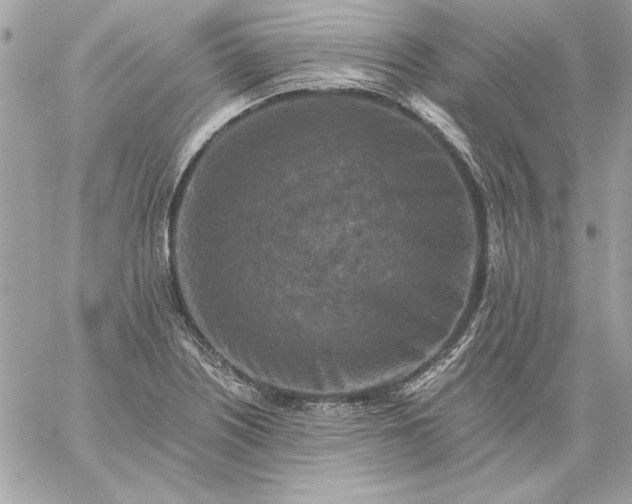 X0000059081226200510172021