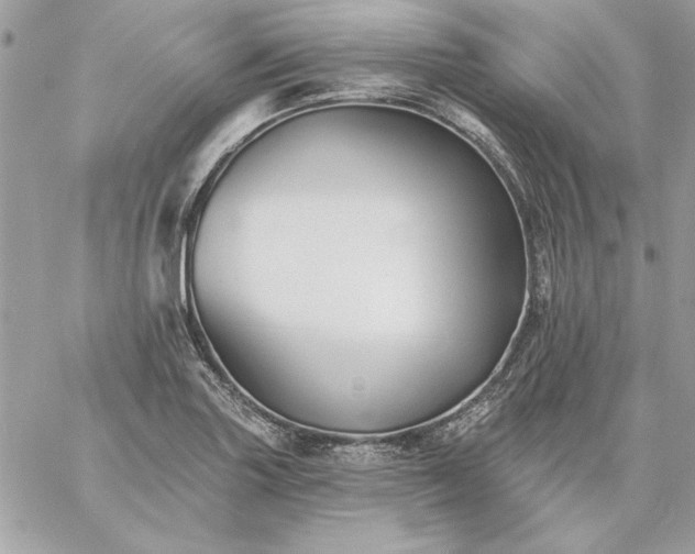 X0000059081227200510172021