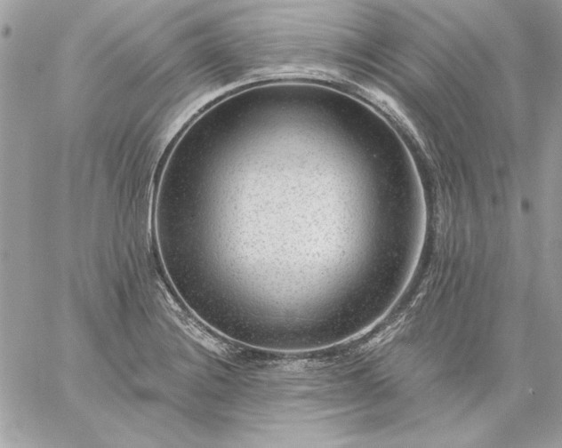 X0000059081228200510172021