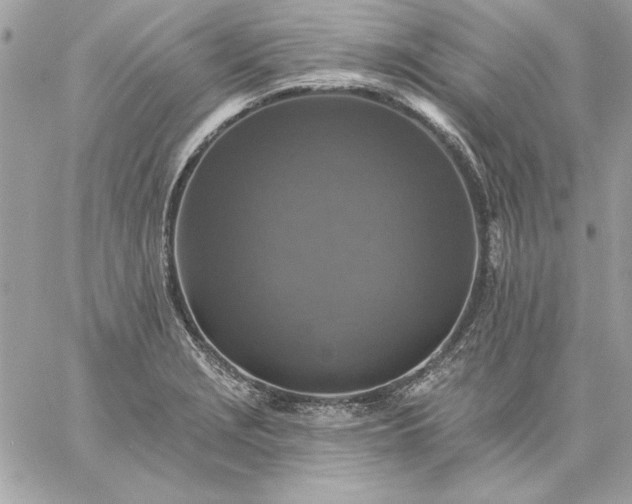 X0000059081229200510172021