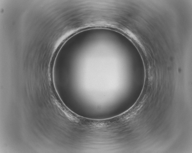 X0000059081230200510172021