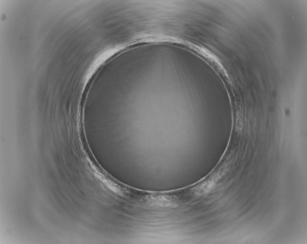 X0000059081231200510172021