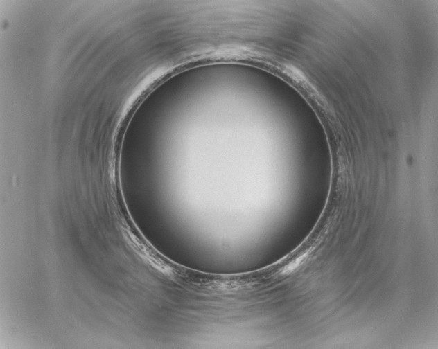 X0000059081232200510172021